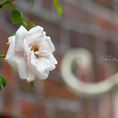 Nordsee-domizil Apartman *